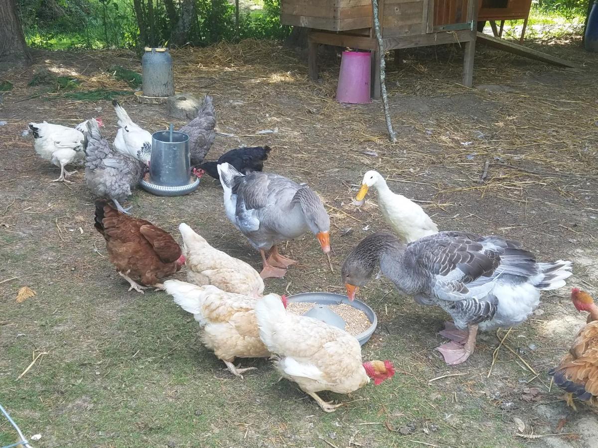 Gite Matilon, 5 Min Eugenie Les Bains Buanes Dış mekan fotoğraf